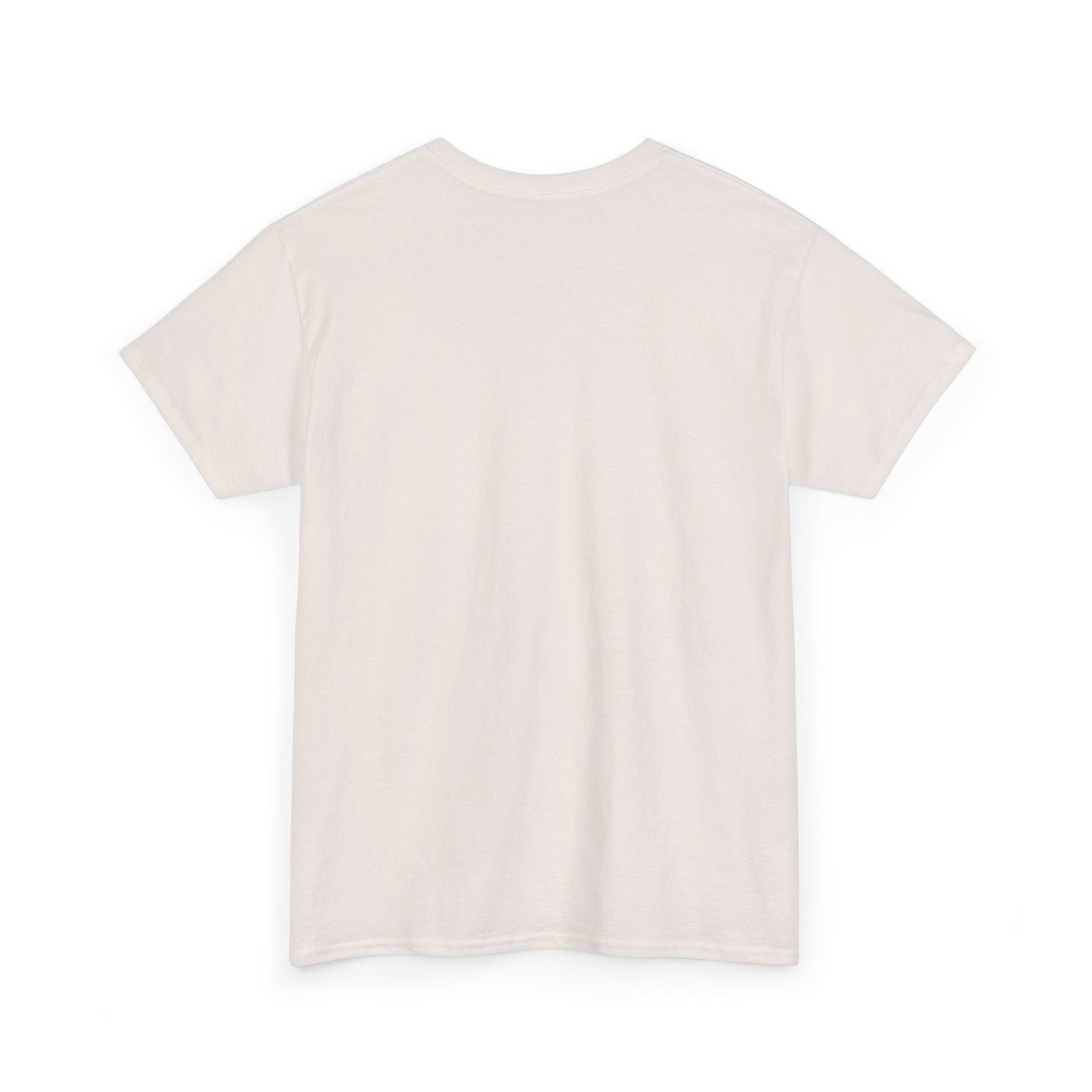 Normalize Sobriety Unisex Heavy Cotton Tee