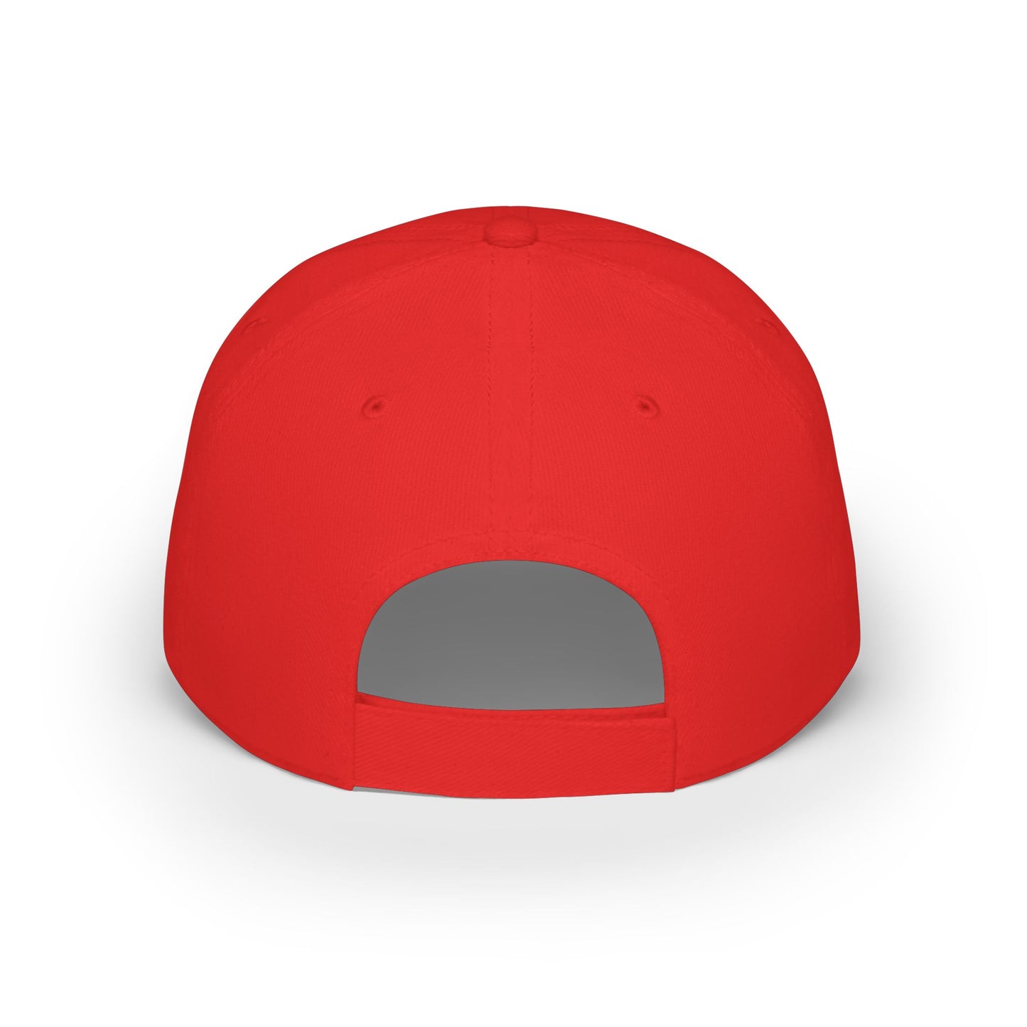 "Make NDN Tacos $5 Again" Embroidered low profile baseball Hat
