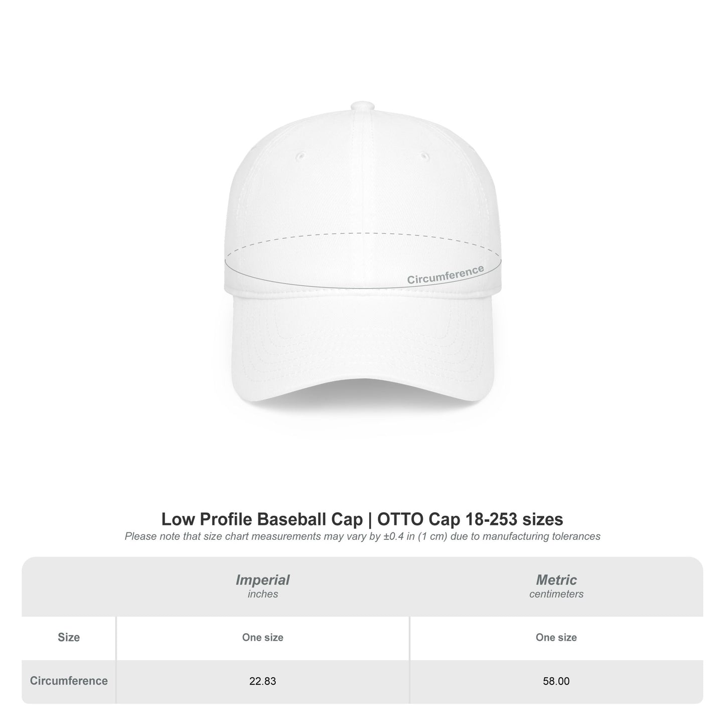 "Make NDN Tacos $5 Again" Embroidered low profile baseball Hat