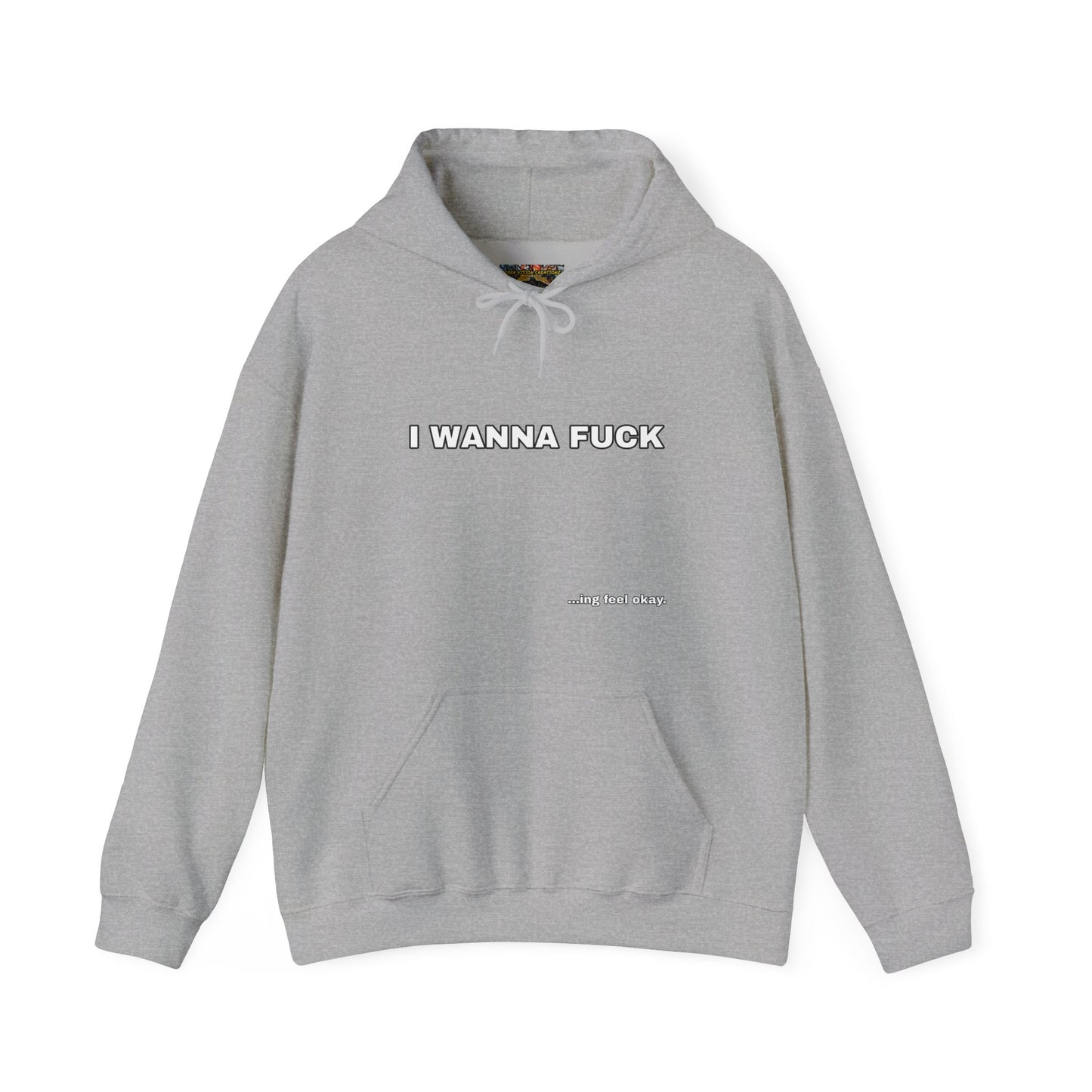 I WANNA FUCKing feel okay Hoodie Unisex Sweatshirt, Casual Streetwear, Funny Gift, Relaxed Fit