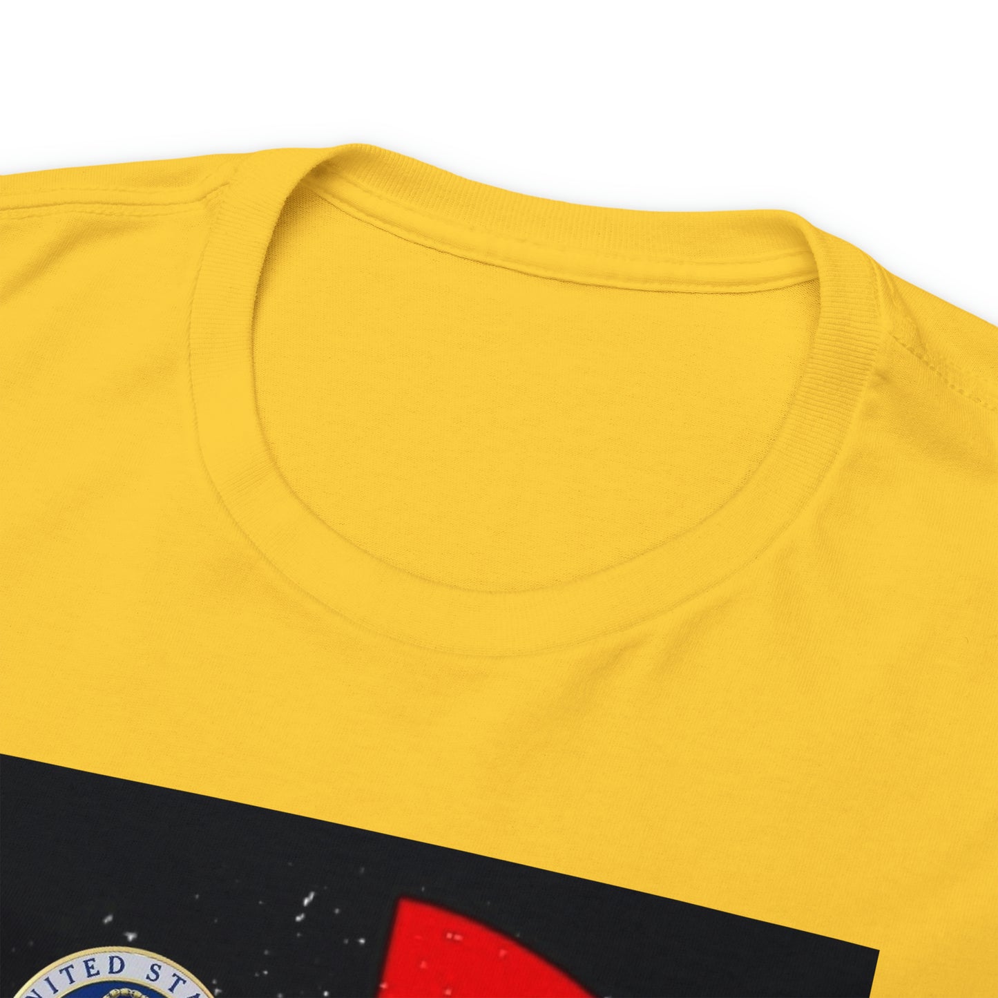 Unisex (For the Vets) Heavy Cotton Tee